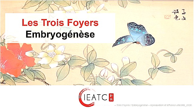 Trois Foyers M2