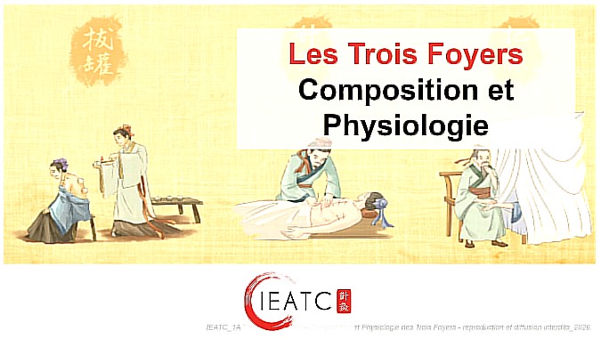 Trois Foyers M5