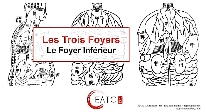 Trois Foyers M6