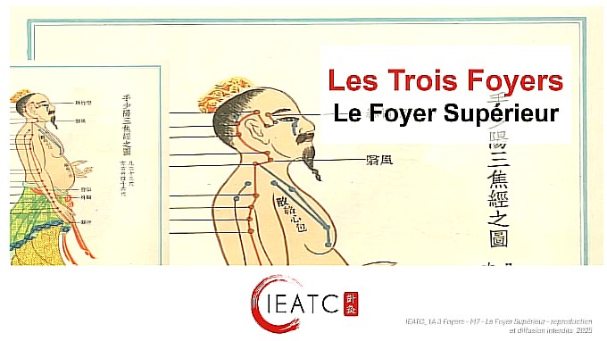 Trois Foyers M7